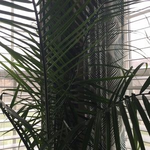 Meet your Posher, Brock